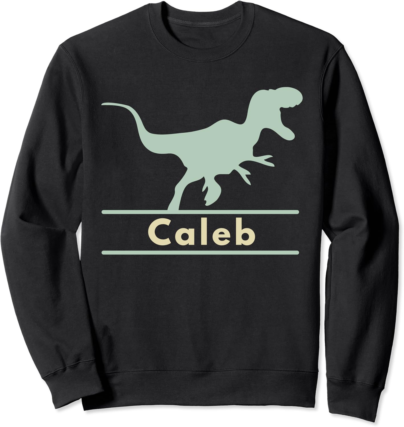 Caleb Dinosaur TRex Name Sweatshirt Clothing, Shoes